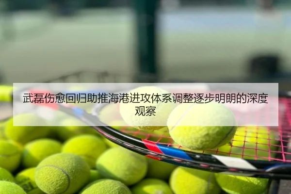 武磊伤愈回归助推海港进攻体系调整逐步明朗的深度观察